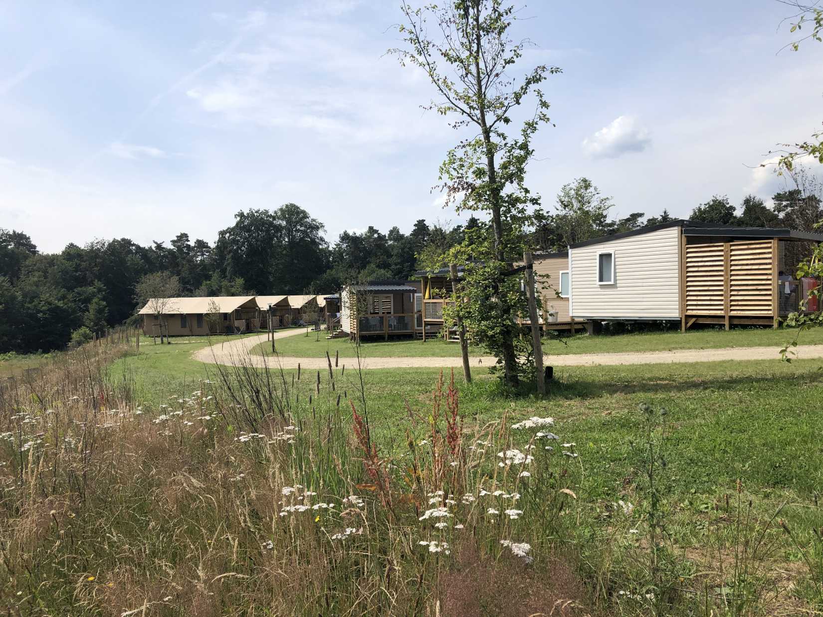 Bild zeigt Camping Birkelt in L-Larochette