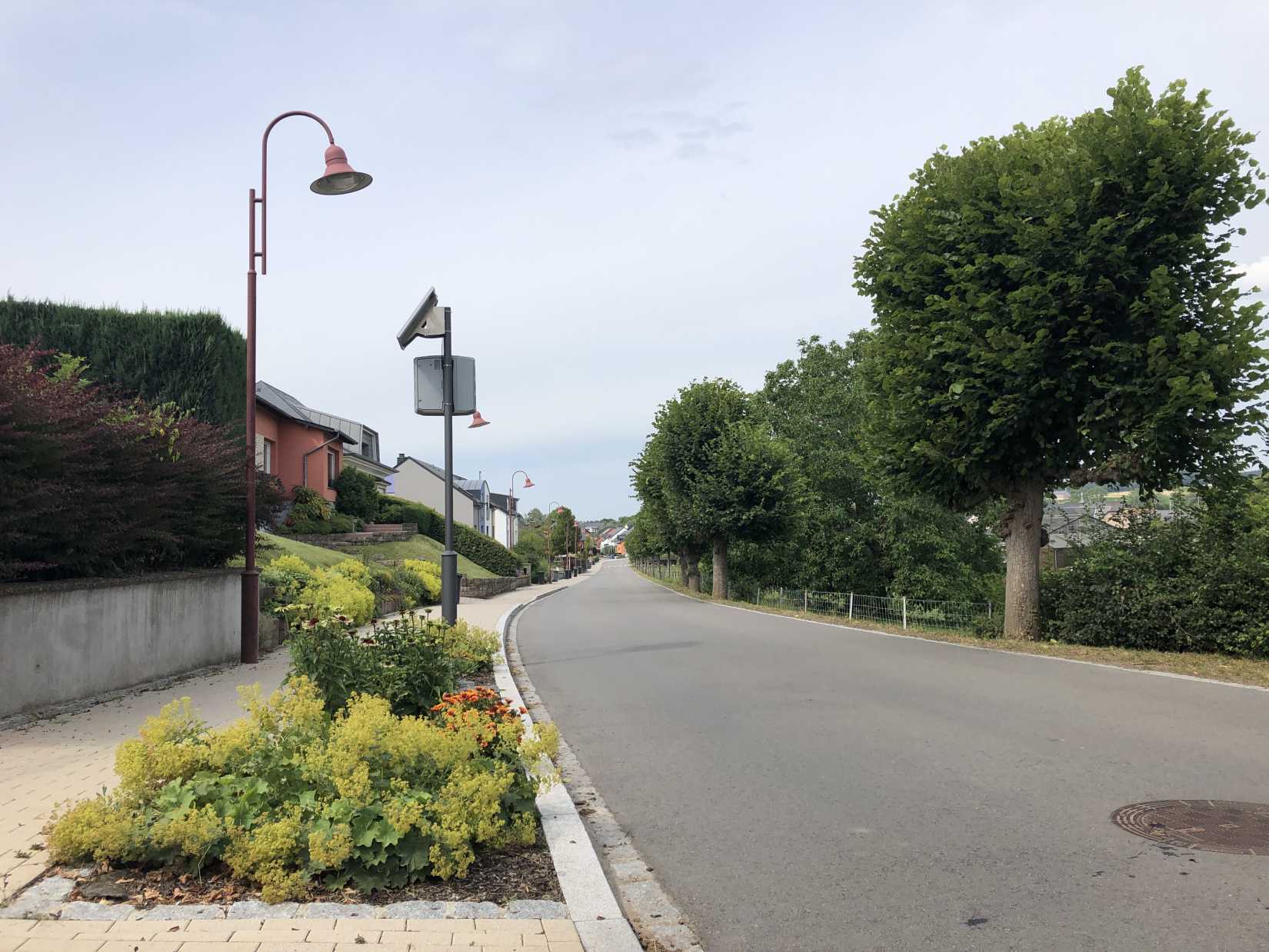 Bild zeigt Rue de Colmar-Berg in L-Mertzig