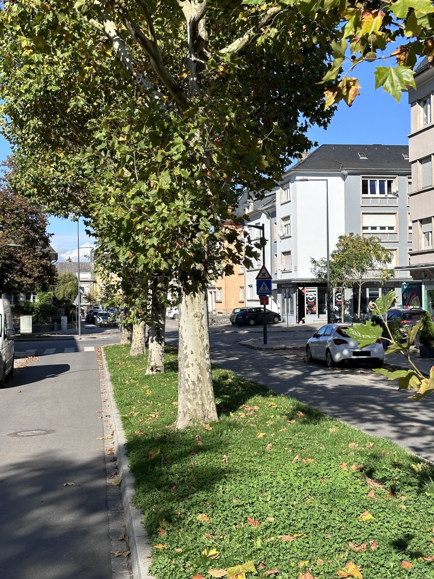 Bild zeigt RUE DE PONT-RÉMY in L-Bonnevoie